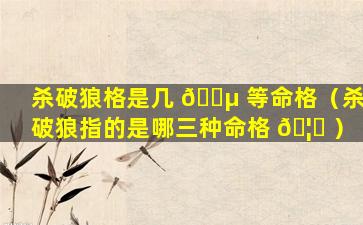 杀破狼格是几 🐵 等命格（杀破狼指的是哪三种命格 🦋 ）